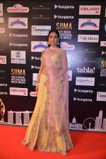 Sonal Chauhan at SIIMA Awards 2016 Red carpet day 2 on 1st July 2016 (14)_57776e74d0156.JPG