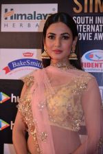 Sonal Chauhan at SIIMA Awards 2016 Red carpet day 2 on 1st July 2016 (33)_57776e79862e1.JPG