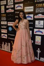 at SIIMA Awards 2016 Red carpet day 2 on 1st July 2016 (114)_57776dfbb8ff8.JPG