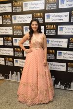 at SIIMA Awards 2016 Red carpet day 2 on 1st July 2016 (135)_57776dff42256.JPG