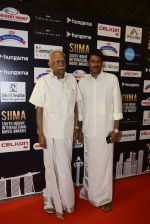 at SIIMA Awards 2016 Red carpet day 2 on 1st July 2016 (139)_57776e0225ea3.JPG