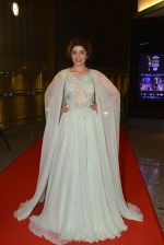 at SIIMA Awards 2016 Red carpet day 2 on 1st July 2016 (223)_57776e40df8e8.JPG