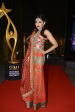 at SIIMA Awards 2016 Red carpet day 2 on 1st July 2016 (262)_57776e524f35d.JPG