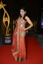 at SIIMA Awards 2016 Red carpet day 2 on 1st July 2016 (263)_57776e52f1011.JPG