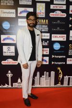 at SIIMA Awards 2016 Red carpet day 2 on 1st July 2016 (288)_57776e58c0c4a.JPG