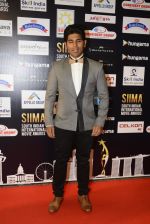 at SIIMA Awards 2016 Red carpet day 2 on 1st July 2016 (289)_57776e5979161.JPG