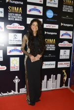 at SIIMA Awards 2016 Red carpet day 2 on 1st July 2016 (53)_57776de876519.JPG