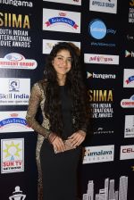 at SIIMA Awards 2016 Red carpet day 2 on 1st July 2016 (54)_57776de953316.JPG