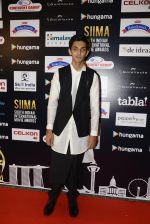 at SIIMA Awards 2016 Red carpet day 2 on 1st July 2016 (76)_57776df4e3db9.JPG