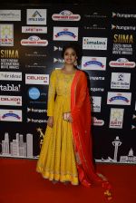 at SIIMA Awards 2016 Red carpet day 2 on 1st July 2016 (90)_57776df60c563.JPG