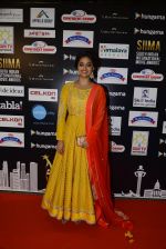 at SIIMA Awards 2016 Red carpet day 2 on 1st July 2016 (91)_57776df697aee.JPG