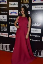 at SIIMA Awards 2016 Red carpet day 2 on 1st July 2016 (99)_57776df9731ff.JPG