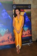 Ira Dubey at Imaad and Ira Dubey_s film MCream on 13th July 2016 (22)_57873072ee4a1.JPG