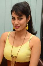 Manisha Kelkar (8)_5787cc7eef4c9.jpg