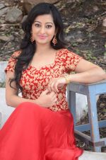 Tejaswini Prakash (111)_5787cf04695f9.jpg