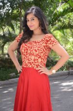 Tejaswini Prakash (85)_5787cee41805b.jpg