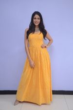 Lavanya Tripathi (101)_578fb60bd9ee8.jpg