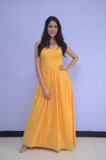 Lavanya Tripathi (102)_578fb60c7351e.jpg