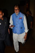 Amitabh Bachchan at Madaari screening in Lightbox on 20th July 2016 (154)_5790614d2c90d.JPG