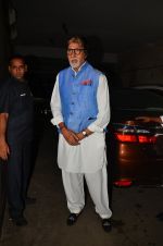 Amitabh Bachchan at Madaari screening in Lightbox on 20th July 2016 (65)_57906149e030d.JPG