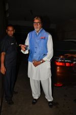 Amitabh Bachchan at Madaari screening in Lightbox on 20th July 2016 (66)_5790614aa28c9.JPG