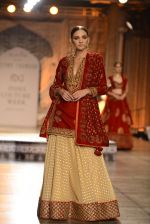 Models Walk the ramp for Reynu Taandon at the FDCI India Couture Week 2016 (27)_57922be4ec184.JPG