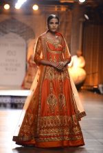 Models Walk the ramp for Reynu Taandon at the FDCI India Couture Week 2016 (58)_57922bfb1b04b.JPG