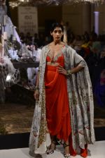 during Anamika Khanna showcase When Time Stood Still at the FDCI India Couture Week 2016 on 22 July 2016 (98)_57937c178ae6f.JPG