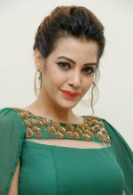 Diksha Panth Photoshoot (13)_579da0681622e.jpg