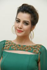 Diksha Panth Photoshoot (20)_579da0b13920b.jpg