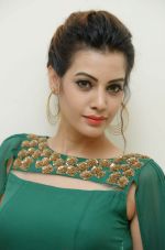 Diksha Panth Photoshoot (30)_579da10e5f7f2.jpg