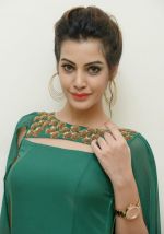 Diksha Panth Photoshoot (4)_579d9dfe88076.jpg