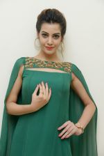 Diksha Panth Photoshoot (46)_579da16c9eb5b.jpg