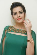 Diksha Panth Photoshoot (5)_579d9e5ae6b22.jpg