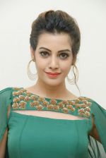 Diksha Panth Photoshoot (6)_579d9ed05cd22.jpg