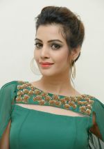 Diksha Panth Photoshoot (7)_579d9f436e153.jpg