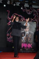 Amitabh Bachchan at Pink promotions in Umang fest on 17th Aug 2016 (112)_57b571b7d768d.JPG