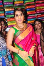 Raashi Khanna Inagurated R.S Brothers at Kothapet on 2nd Sept 2016 (521)_57c9a4eb83f44.JPG