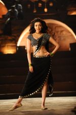 Kajal Aggarwal from Pakka Local Song in Janatha Garage (10)_57dbe384bc75c.jpg