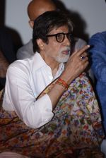 Amitabh Bachchan at Pink success meet on 19th Sept 2016 (30)_57e01aebc655a.JPG