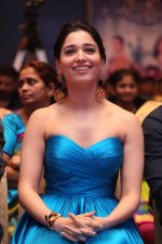 Tamannaah Bhatia (14)_57ebeddabc3e3.jpg