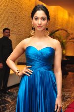 Tamannaah Bhatia (30)_57ebedece3ef3.jpg