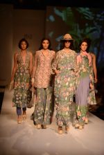 Model walk the ramp for Asheema Leena show on day 2 of AIFW on 14th Oct 2016 (10)_5802137ab5d22.jpg