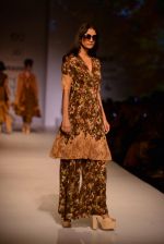 Model walk the ramp for Asheema Leena show on day 2 of AIFW on 14th Oct 2016 (23)_580213ea96f74.jpg