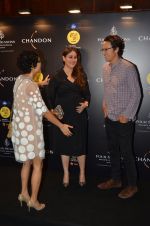 Kareena Kapoor at Chandon, Four Seasons bash hosted by Kiran Rao on 24th Oct 2016 (184)_580f6f4e89469.JPG