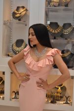  Celina Jaitley at the launch of a new jewellery line of designer Paulomi Sanghavi in Mumbai on 27th Oct 2016 (49)_58131a845fb66.JPG