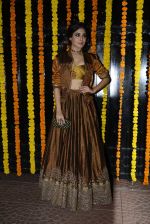 Kritika Kamra at Ekta Kapoor_s Diwali bash on 29th Oct 2016 (50)_5817426bdf8bc.JPG