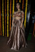 Sophie Chaudhary at Ekta Kapoor_s Diwali bash on 29th Oct 2016 (276)_5817369d2a275.JPG