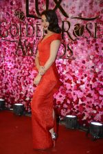 Surveen Chawla at Lux Golden Rose Awards 2016 on 12th Nov 2016 (1113)_582854c971c2e.JPG