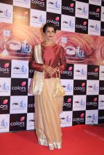 at ITA Awards 2016 in Mumbai on 13th Nov 2016 (312)_582ab086b3515.JPG